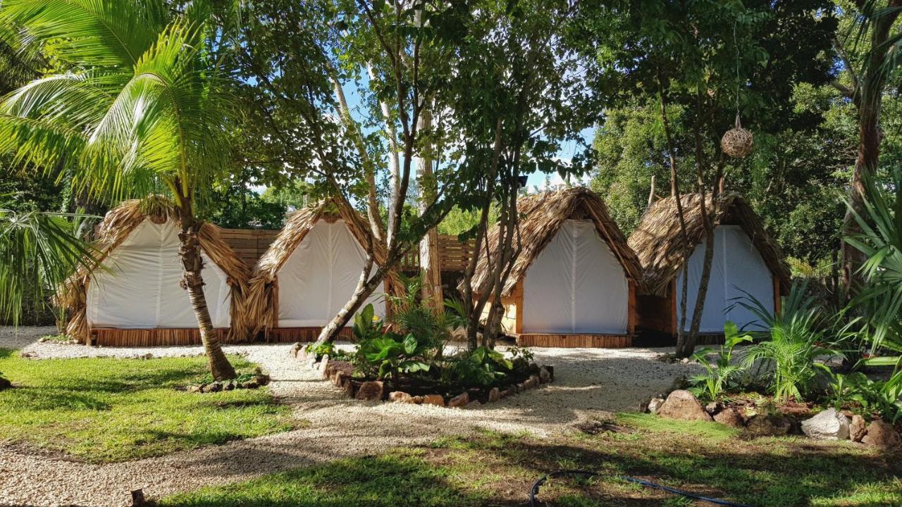 El Buho Bacalar Eco-Cabanas Hostal Eksteriør billede