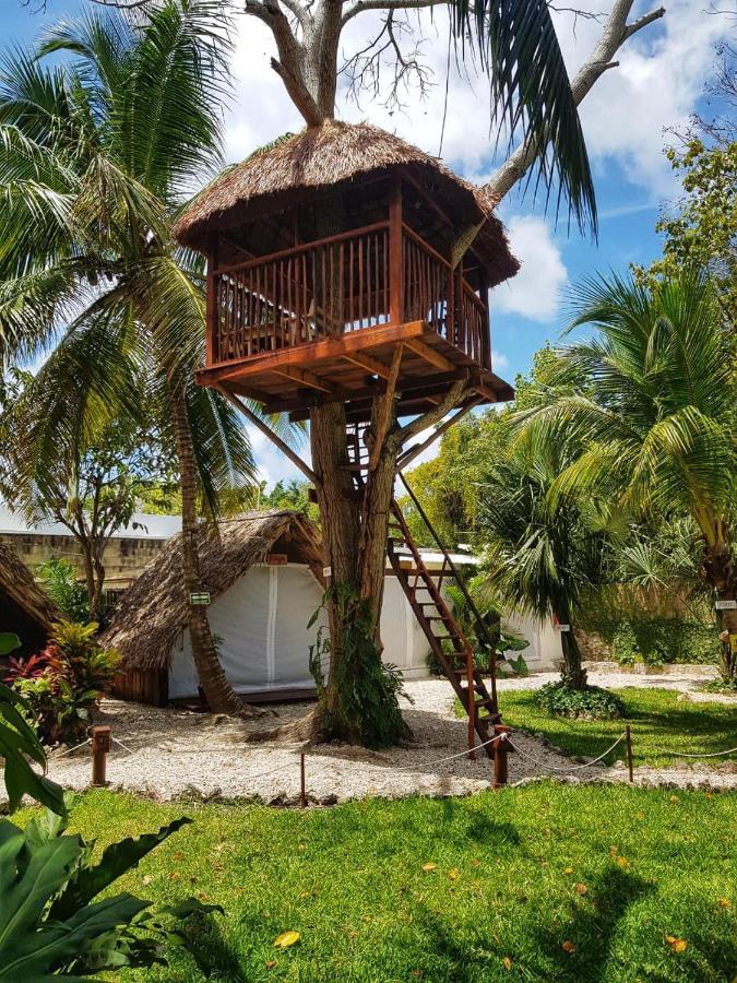 El Buho Bacalar Eco-Cabanas Hostal Eksteriør billede