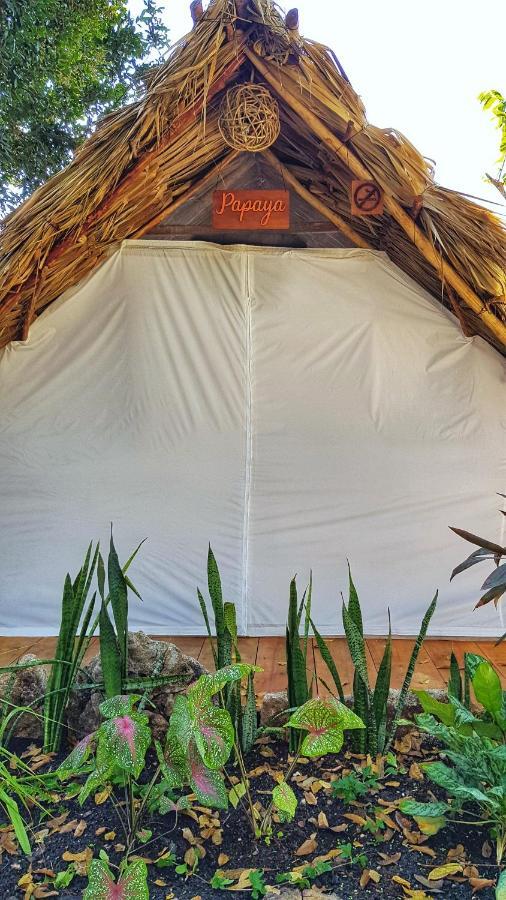 El Buho Bacalar Eco-Cabanas Hostal Eksteriør billede